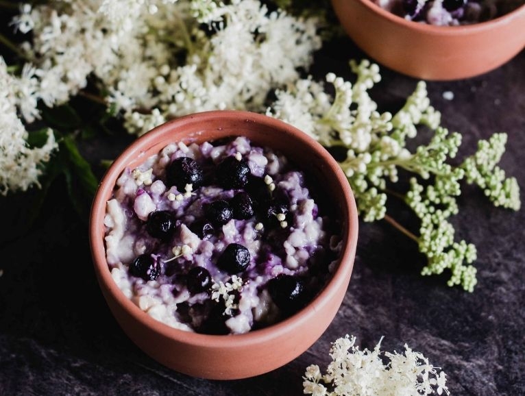 Vildvuchs, München, Wildkräuter, Fermentation, Plant-Based, Vegan, Küche, Workshops, Events, Kurse, Führungen