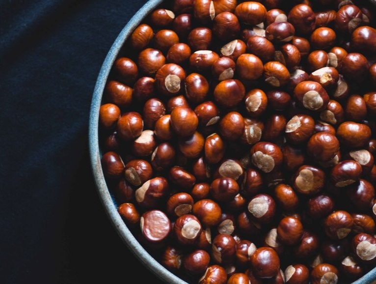 Vildvuchs, München, Wildkräuter, Fermentation, Plant-Based, Vegan, Küche, Workshops, Events, Kurse, Führungen