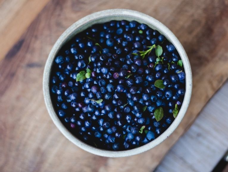 Vildvuchs, München, Wildkräuter, Fermentation, Plant-Based, Vegan, Küche, Workshops, Events, Kurse, Führungen
